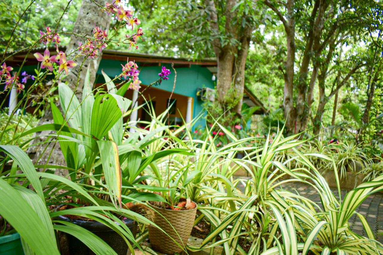 Palitha Homestay Sigiriya Exterior photo