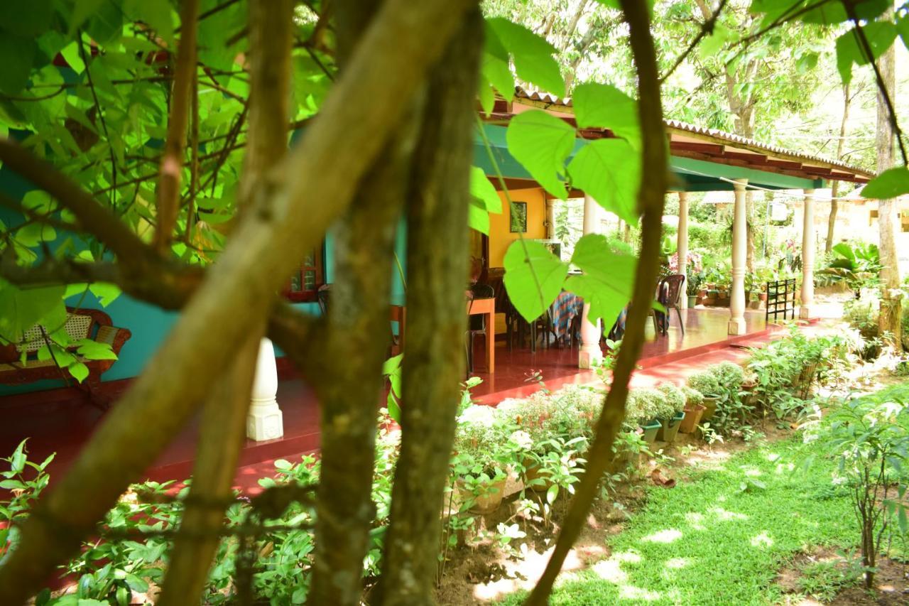 Palitha Homestay Sigiriya Exterior photo